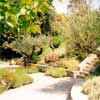 landscape garden